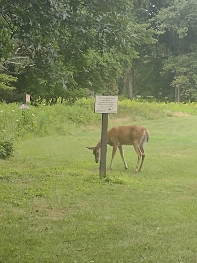 Public Golf Course «Mill Creek Golf Course», reviews and photos, W Golf Dr, Boardman, OH 44512, USA