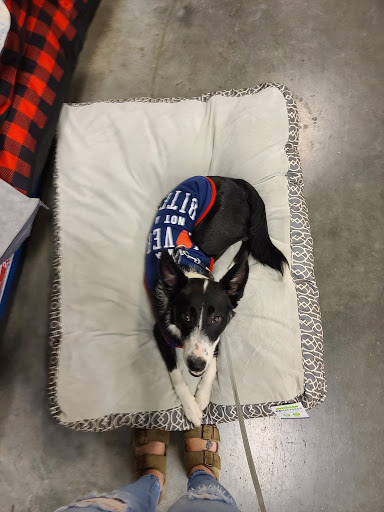 Pet Supply Store «PetSmart», reviews and photos, 1236 Greenbrier Pkwy, Chesapeake, VA 23320, USA