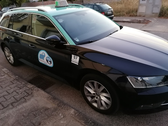 Auto Taxis Areia Dourada Lda. - Grândola