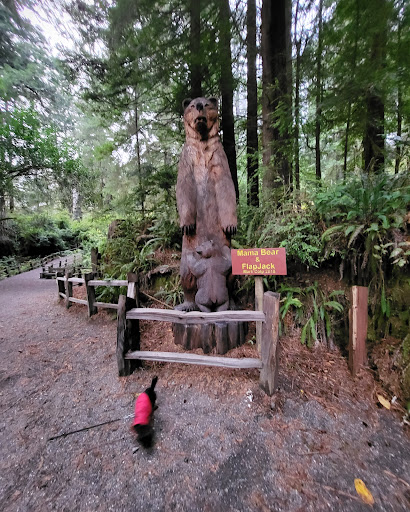 Tourist Attraction «Trees of Mystery», reviews and photos, 15500 US-101, Klamath, CA 95548, USA