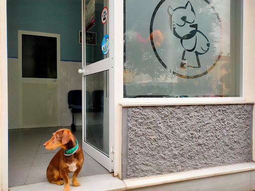 Clínica Veterinaria Gran Plaza en Coria del Río