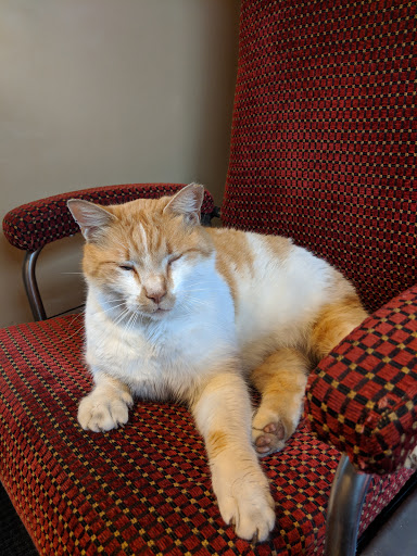 Museum «Galveston Railroad Museum», reviews and photos, 2602 Santa Fe Pl, Galveston, TX 77550, USA