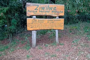 Mapuche Ziwilwe Natural Park image