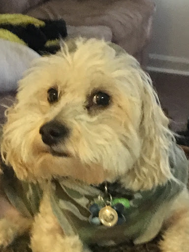 Pet Store «Teske Pet & Garden», reviews and photos, 2423 16th St, Moline, IL 61265, USA