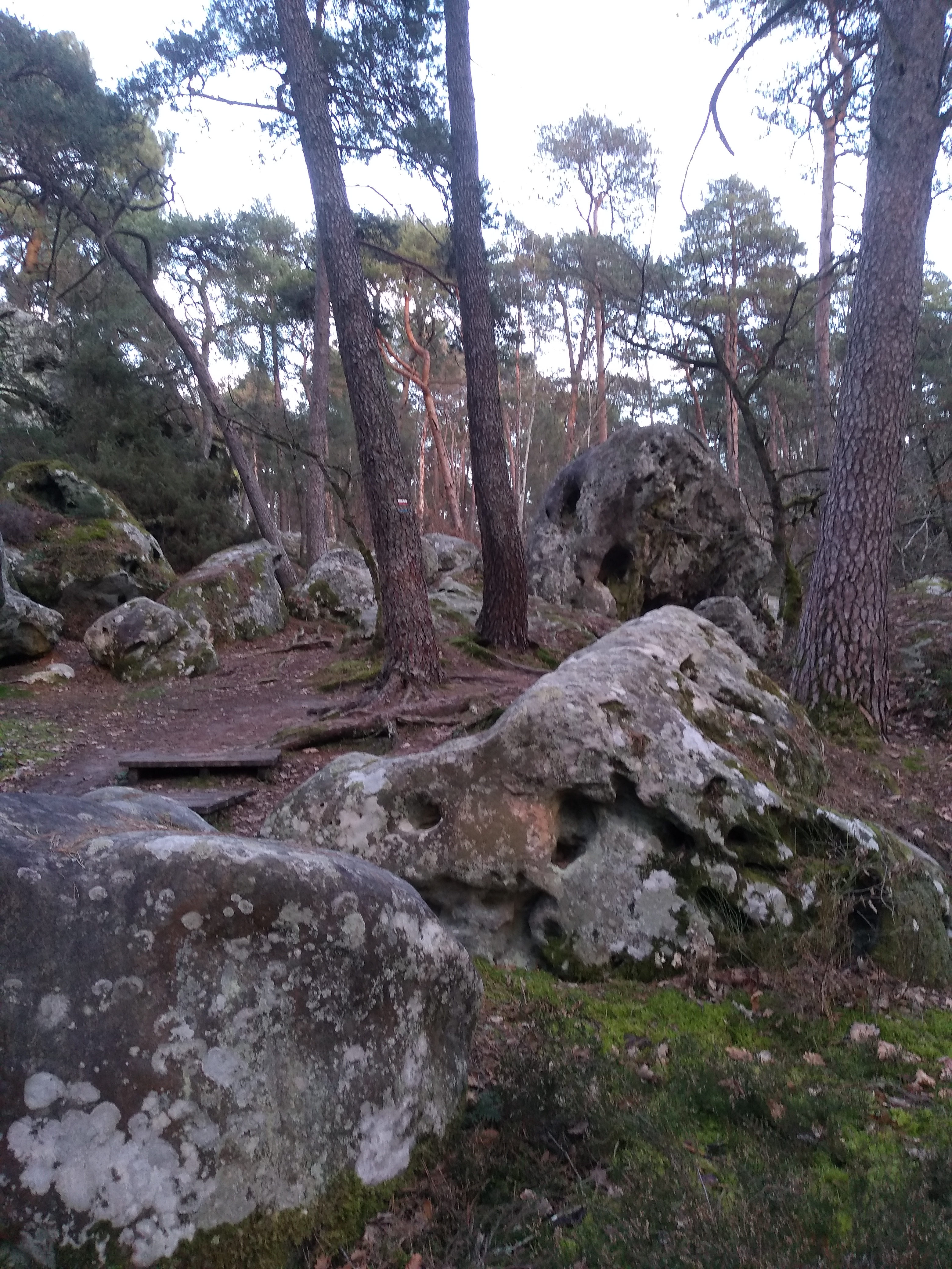 Photo n° 5 de l'avis de Evelyne.. fait le 23/01/2020 à 15:32