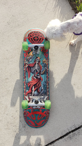 Skateboard Shop «Avalanche Skate Shop», reviews and photos, 1201 Jupiter Park Dr a, Jupiter, FL 33458, USA