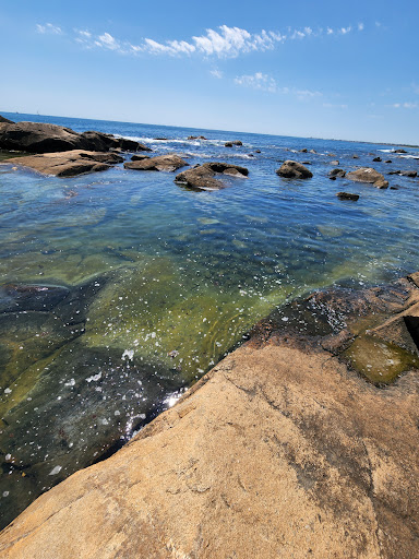 Hiking Area «Black Point Trailhead», reviews and photos, 655 Ocean Rd, Narragansett, RI 02882, USA