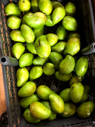 Asian Grocery Store «Kamana Grocery Store», reviews and photos, 235 Main St, Winooski, VT 05404, USA