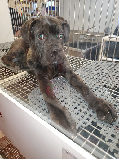 Pet Store «Pets Plus Inc», reviews and photos, 2610 Jefferson Davis Hwy, Stafford, VA 22554, USA