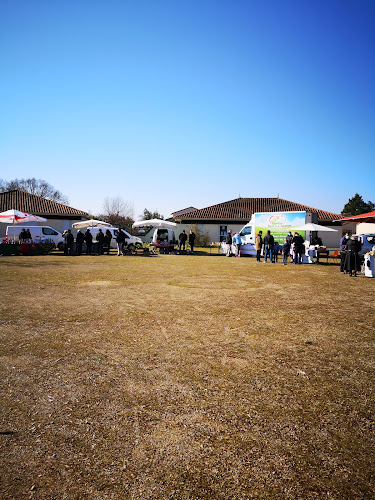 Fête du printemps à Sèvres-Anxaumont