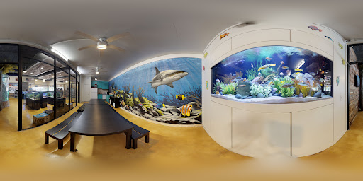 Pet Supply Store «Fish Gallery», reviews and photos, 26002 I-45, Spring, TX 77396, USA