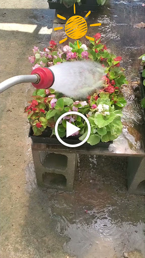 Plant Nursery «HOUSTON PLANTS & GARDEN WORLD», reviews and photos, 16726 North Fwy, Houston, TX 77090, USA