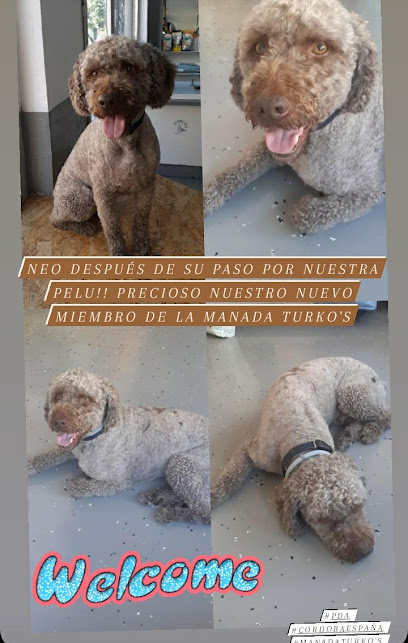 Turko&apos;s peluqueria canina - Servicios para mascota en Córdoba