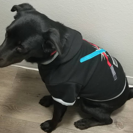 Pet Supply Store «PetSmart», reviews and photos, 4300 E Alameda Ave, Glendale, CO 80246, USA