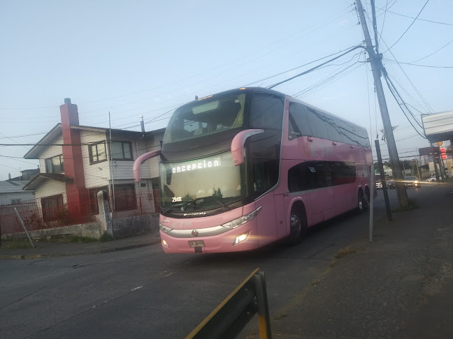 buses ETM - Servicio de transporte