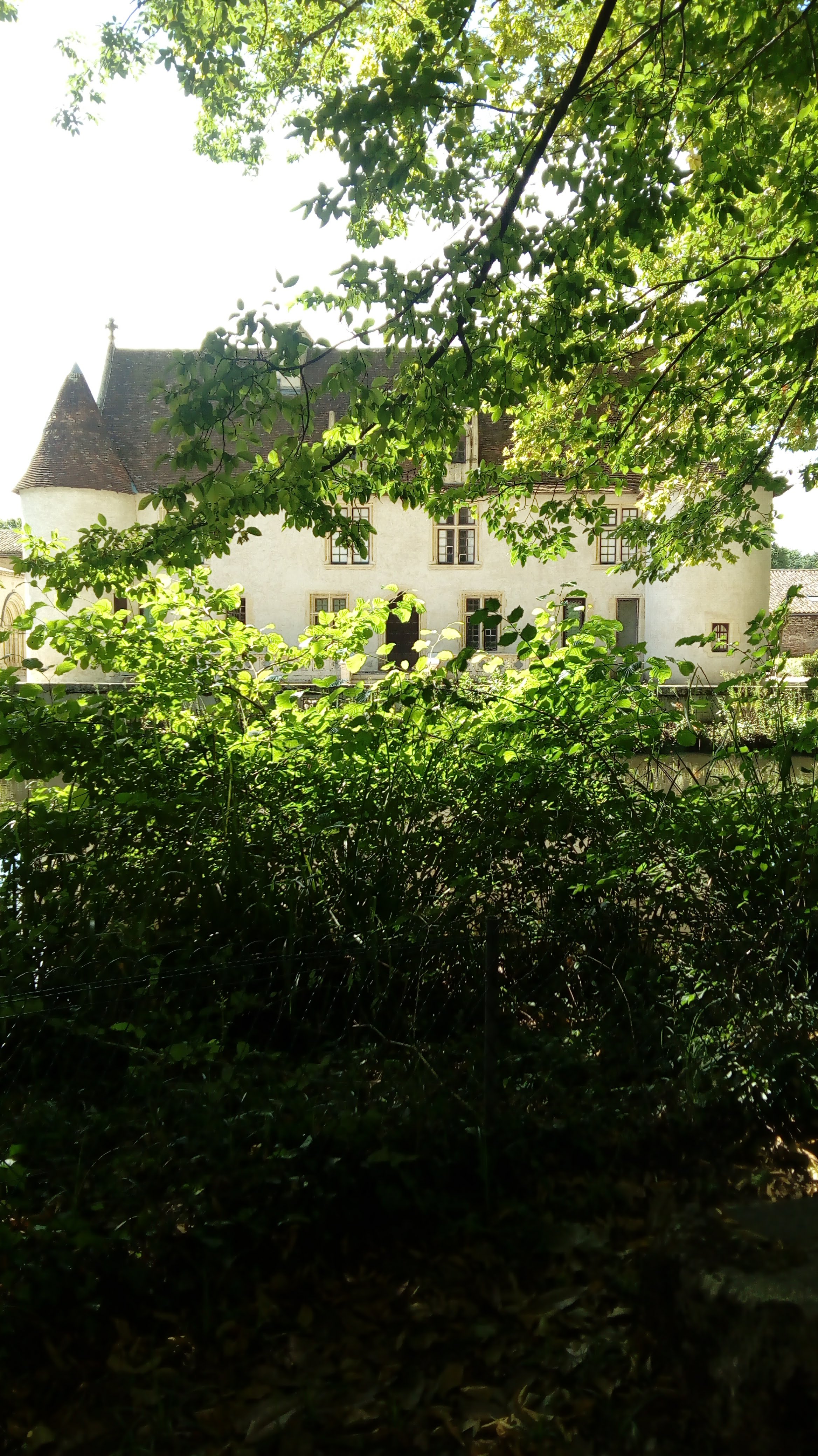 Photo n° 2 de l'avis de francoise.a fait le 26/08/2020 à 14:49