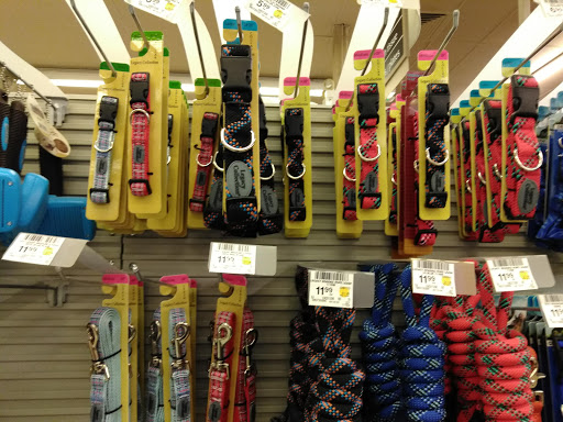 Grocery Store «Safeway», reviews and photos, 1535 Main St, Windsor, CO 80550, USA