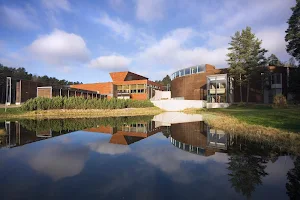 Lusto - The Finnish Forest Museum image