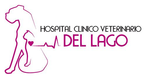 Hospital Clinico Veterinario del Lago - Hospital