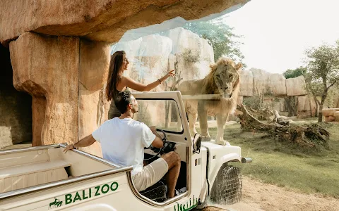 Bali Zoo image
