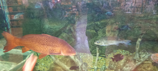 Sporting Goods Store «Bass Pro Shops», reviews and photos, 5900 Sugarloaf Pkwy, Lawrenceville, GA 30043, USA