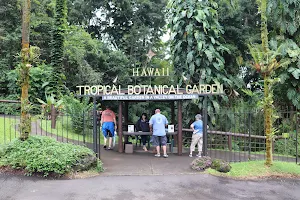 Hawai‘i Tropical Botanical Garden image