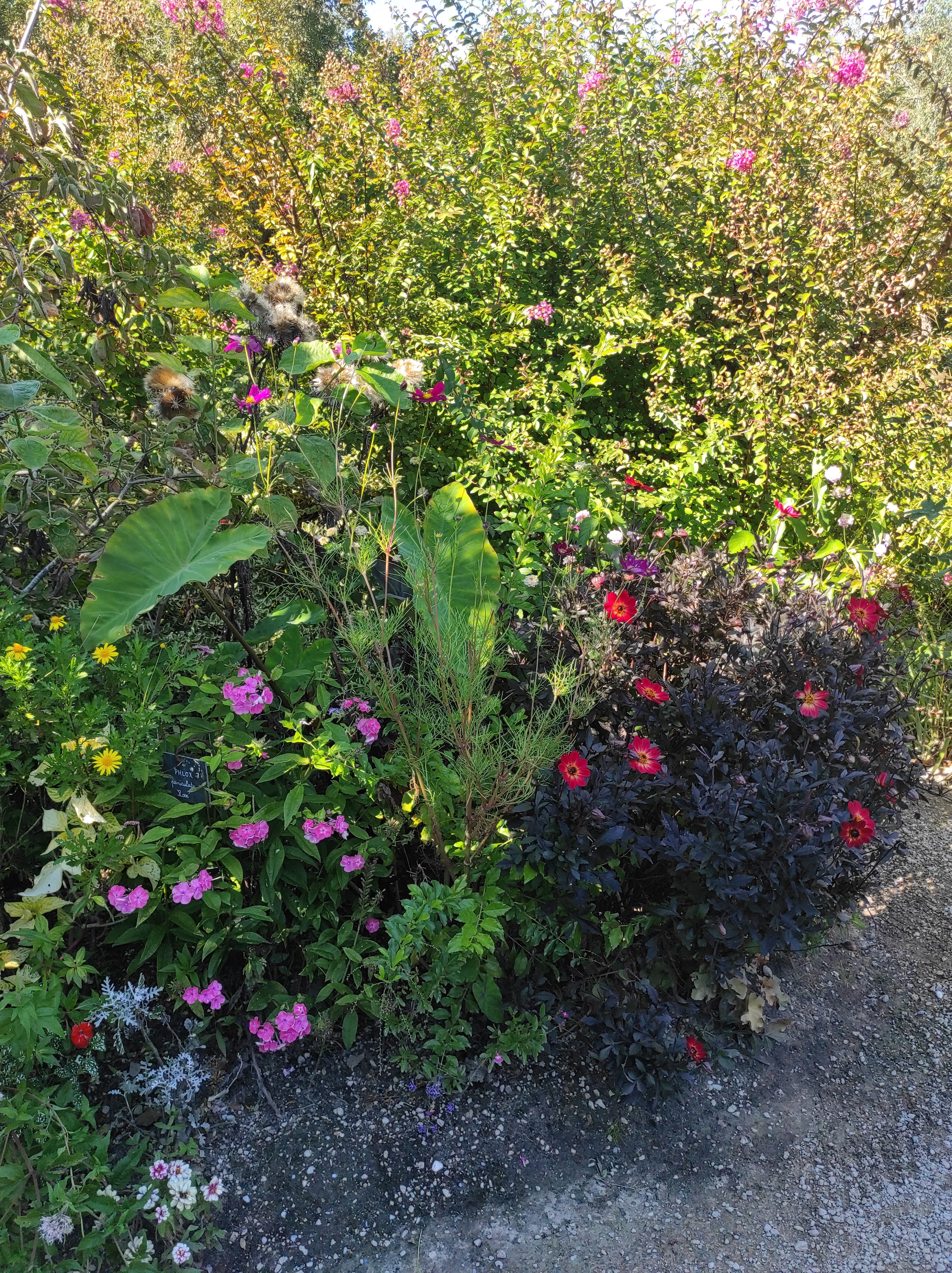 Photo n° 12 de l'avis de christine.o fait le 19/09/2022 à 17:52