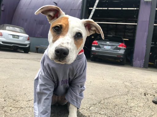 Auto Repair Shop «Green Drop Garage - Moreland», reviews and photos, 5321 SE 28th Ave, Portland, OR 97202, USA