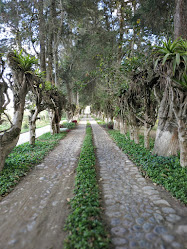 Jardín Botánico Yachay