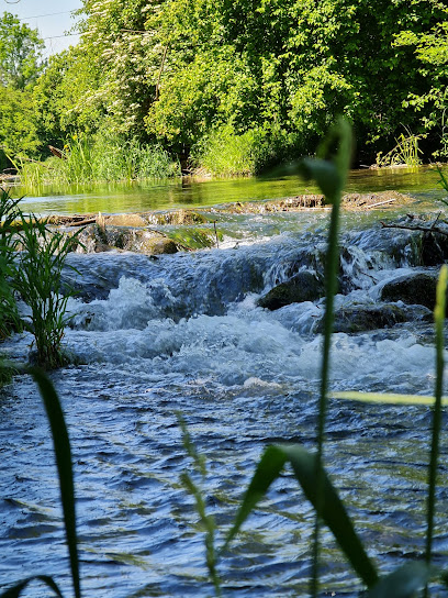 Mitterwasser