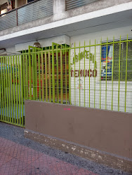 Carnicería Temuco