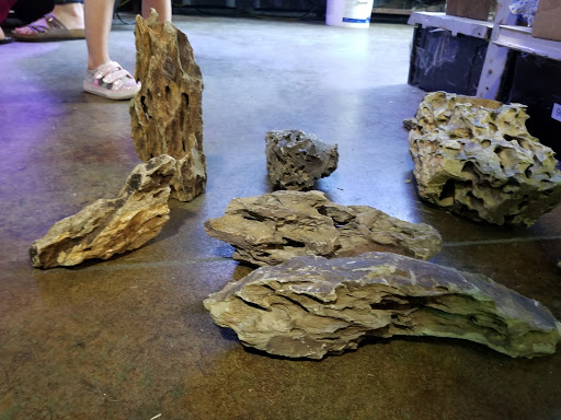 Pet Store «Incredible Pets Inc», reviews and photos, 2255 N Wickham Rd # 102, Melbourne, FL 32935, USA