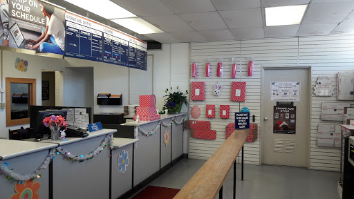 Post Office «United States Postal Service», reviews and photos, 195 W Haines Blvd, Lake Alfred, FL 33850, USA