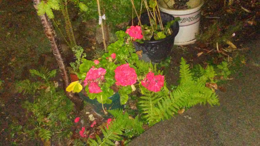 Park «Marine View Park», reviews and photos, 20945 Marine View Dr SW, Normandy Park, WA 98166, USA