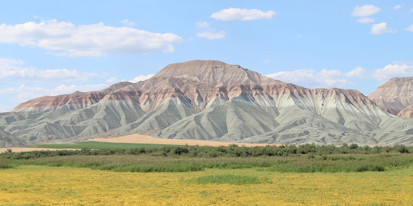 Nallıhan Kuş Cenneti