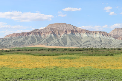 Nallıhan Kuş Cenneti