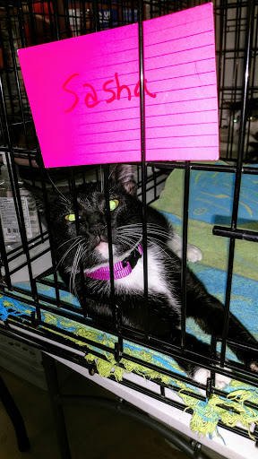 Pet Supply Store «PetSmart», reviews and photos, 1800 Evans Rd, Melbourne, FL 32904, USA