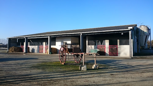 Centre de loisirs Cavalerie de la Sabliere Sainte-Radégonde-des-Noyers