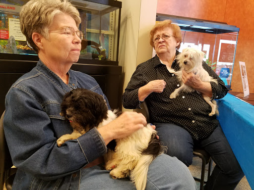 Pet Supply Store «PetSmart», reviews and photos, 1157 E North Ave, Belton, MO 64012, USA