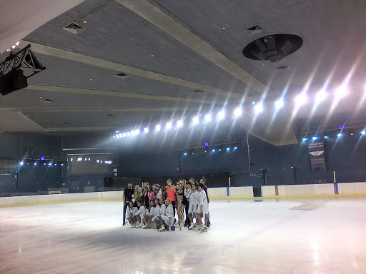 Ice skating lessons Paris