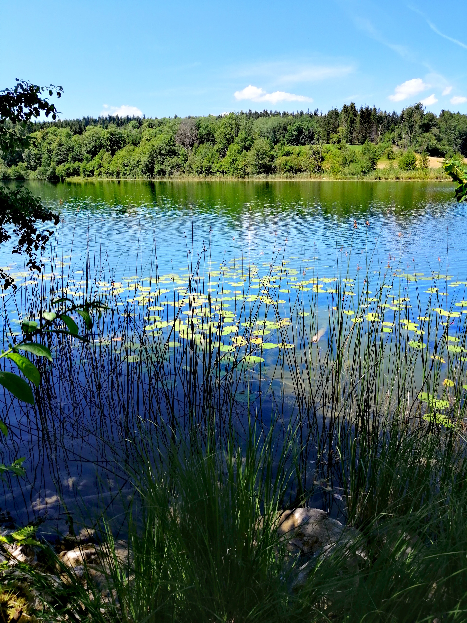 Photo n° 13 de l'avis de Au.i fait le 12/08/2020 à 16:57