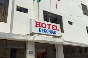 Hotel Begonias image