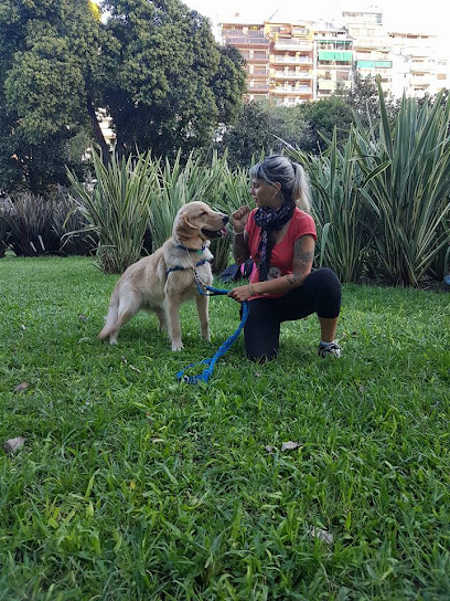 Adiestramiento Canino Villalobos