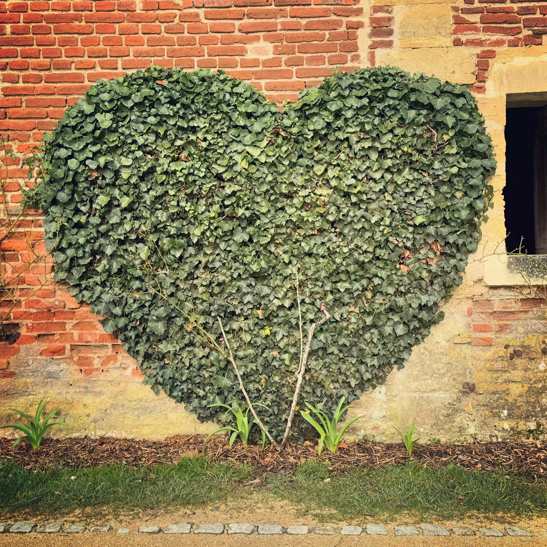 Photo n° 14 de l'avis de Daniel.e fait le 21/02/2024 à 22:23