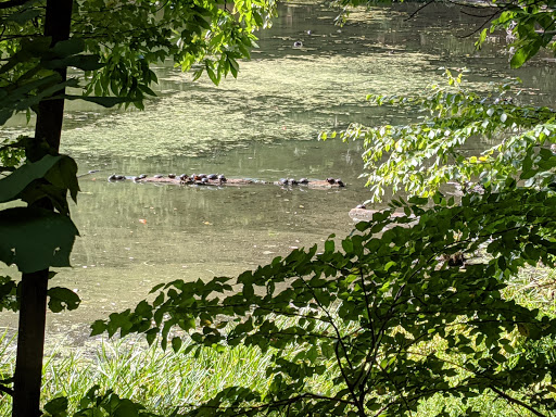 State Park «Winding Hills County Park», reviews and photos, 1847 NY-17K, Montgomery, NY 12549, USA