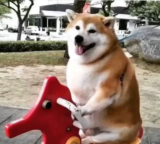 Recreation Center «Litchfield Park Recreation Center», reviews and photos, 100 Old Litchfield Rd, Litchfield Park, AZ 85340, USA