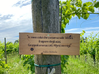 "A Passo di Vino" passeggiata naturalistico letteraria tra i vigneti