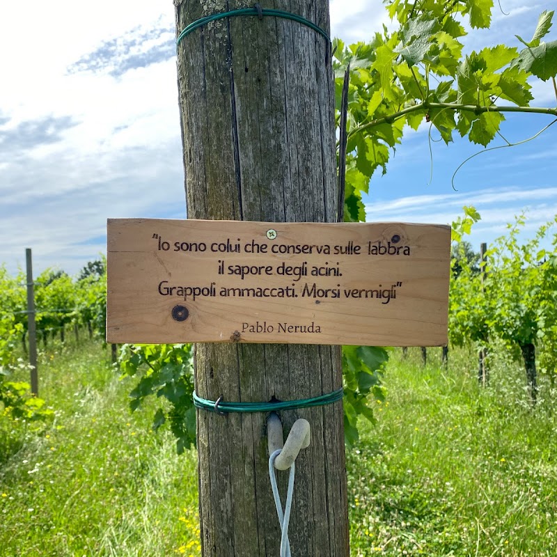 "A Passo di Vino" passeggiata naturalistico letteraria tra i vigneti