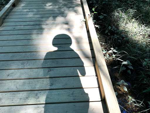 National Park «Congaree National Park», reviews and photos