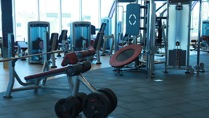 BMI Fitness - Doha, Qatar